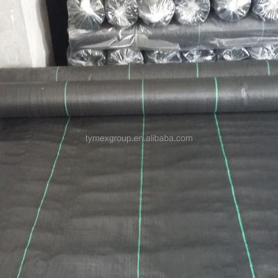 China Recyclable Agricultural Plastic Weed Control Mat / Ground Cover Net for sale