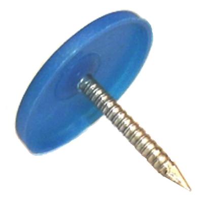 China Plastic Cap Color Cap Roofing Coil Nails for sale