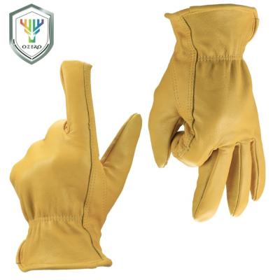 China Ozero Custom OEM Men's Windproof Guantes Cuero De Invierno Thinsulate Lined Leather Gloves Warm Winter. for sale