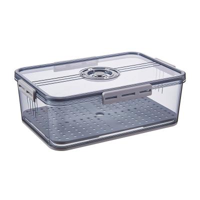 China None Layered Food Storage Box Container Punctuality Plastic Thickened Plastic Frozen Frozen Storage Box for sale