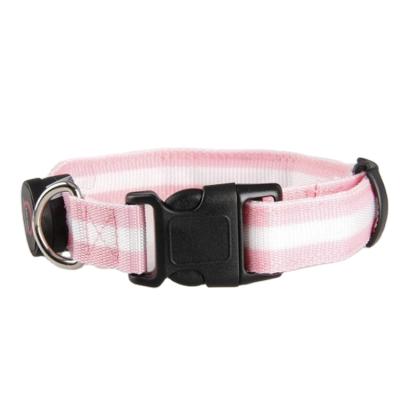 China Lights Factory Supply Cat Puppy Pet Collar And Dog Leashes Cheap Price Customizable Light for sale