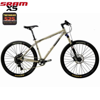 China REYNOLDS 525 MTB 19-650B REYNOLDS NX 1*11SPEED BIKE MOUNTAIN BIKE Mountain Bikes for sale