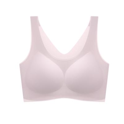 China QUICK DRY Sexy Ladies Bra Wire Free Custom Seamless OEM Cup for sale