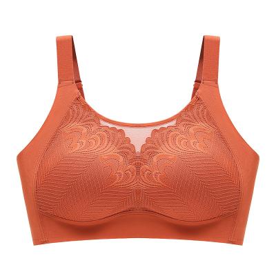 China Anti-Bacterial Sexy Ladies Bra Underwear Women The Bralet Custom Lace Bra ODM Cup Spandex for sale