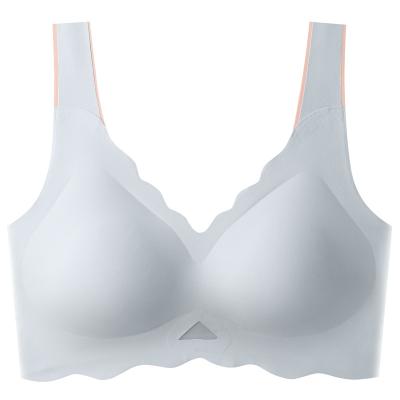 China QUICK DRY Custom 2022 Sexy Ladies wireless Seamless Push up Bra for sale