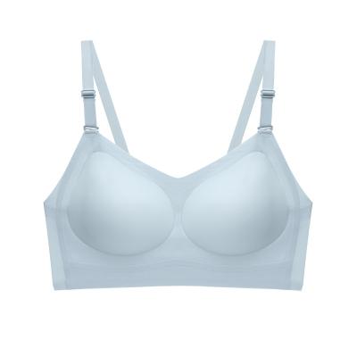 China QUICK DRY Sexy Ladies Bra Underwear Women Wire Free Custom Seamless High Quality Bra for sale