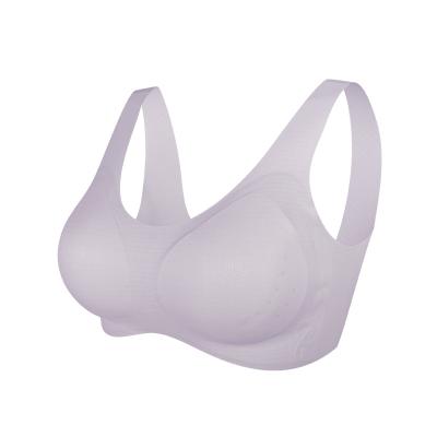 China QUICK DRY Sexy Ladies Women Wire Free Custom Seamless Push Up Cup for sale