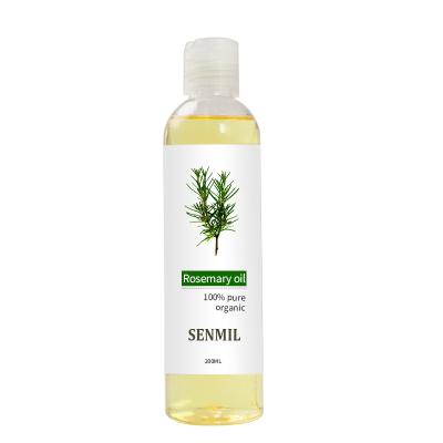 China Skin Revitalizer Private Label Hair Bulk Skin Better 100% Pure Organic Rosemary Oil Essential Oil for sale