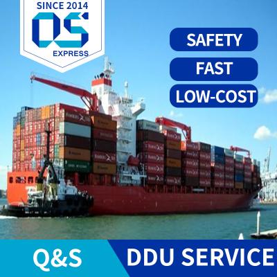 China Free warehouse for popular 3-5days EXW DDU DDP ocean dread forwarder FOB services to Poland by sea shipment for sale