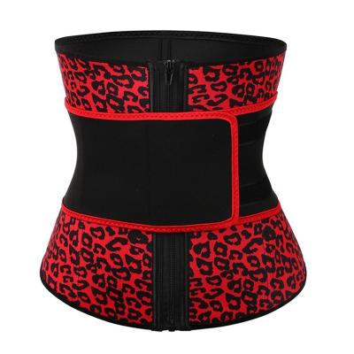 China Private Label Antibacterial Latex Nice Custom Corset Waist Trainer Belt Compression Adjustable Women Slimming Logo Shapers Body Shape Slim Fit for sale