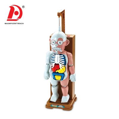 China HUADA 2021 Children Assembly Games Science Monster Halloween DIY Human Body Model Toy For Children 23*12.5*31cm for sale