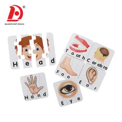 China Human Body Pieces Design Puzzle 2021 HUADA Fun Learning Playset Educational Human Body Pieces Design Kids Puzzle Toys for sale