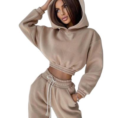 China Breathable Jogging Suits Wholesale Slim Fit Hooded Plain Oversize Workout Sweatshirt Streetwear Tracksuits Set For Women for sale