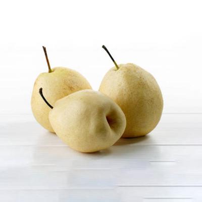 China Best Fresh Selling Fresh Pear Fruit Pears Ya Pear For Sale for sale