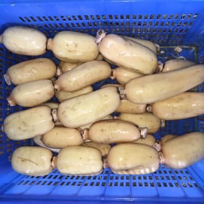 China Lotus Roots Green Vegetables From Fresh Fresh China for sale