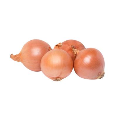 China Fresh yellow fresh onion/red onion in selling price per ton for sale