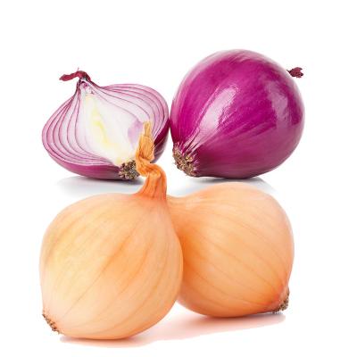 China High quality bawang merah wholesaler fresh organic red onion onion exporters in china fresh onion for sale