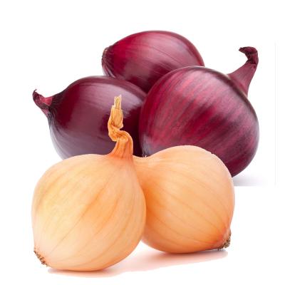 China Fresh export quality natural fresh unpeeled fresh onion for sale