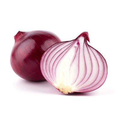 China China Supplier Fresh Onion Bawang Merah Myanmar Red Onion for sale