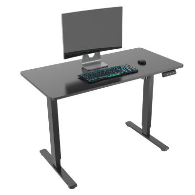 China Modern Design Single Motor Height Adjustable (Height) Electric Standing Desk Sit To Stand Desk for sale