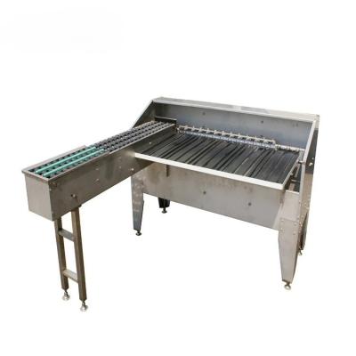 China High Efficiency Easy Operate High Quality Grader Dimension Chicken Egg Machine Grading Egg Sorter for sale