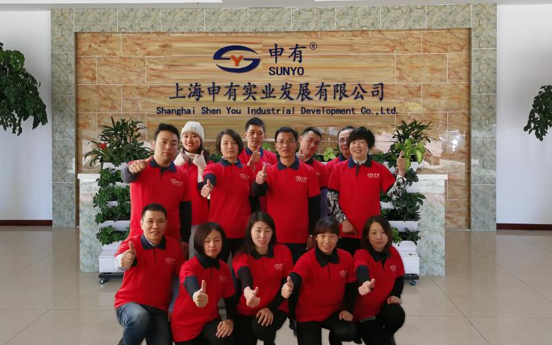 Geverifieerde leverancier in China: - Shanghai ShenYou Industrial Development Co., Ltd.