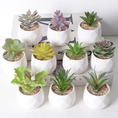 China 2020 New DIY Cute Potted Outdoor Indoor Decoration Home Decor Small Artificial Succulents Plant for sale