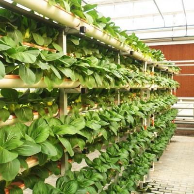 China Hydroponics Agricultural Greenhouses Used Vertical Hydroponic Tower Growing Systems for sale