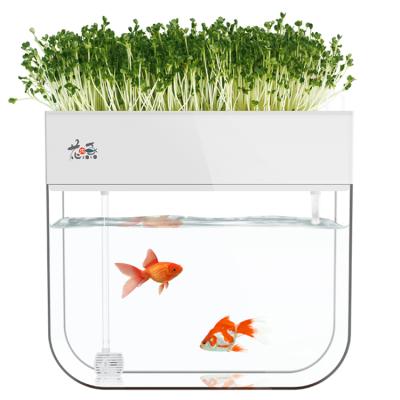 China New Mini Indoor Planter Aquaponics System Hydroponics System High Strength Hot Sales Flat Type for sale