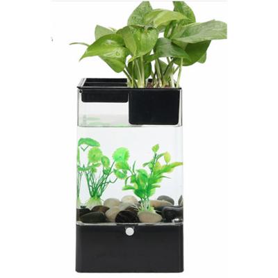 China Modern Plastic Mini Fish Tank Aquaponics System Aquarium Planters For Garden for sale