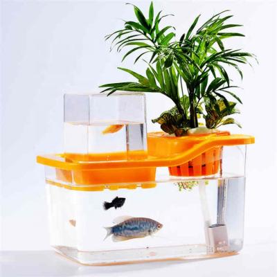 China High Strength Mini Indoor Aquarium Planter Aquaponics Pot Fish Tank With Planter for sale