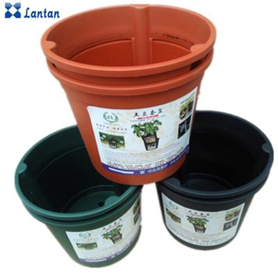 China CLASSIC Factory Sale Garden Lpomoea Batatas Planter Plastic Pot for sale