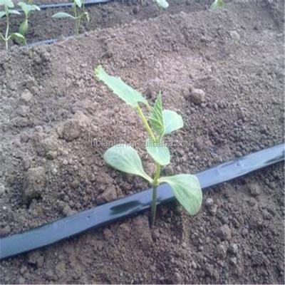 China Corrosion Resistance Flower Inner Flat Type PE Drip Irrigation Pipe For Agriculture And Orchard for sale