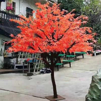 China Minimalist Artificial Maple Tree Plastic and Real Wooden Tree for sale