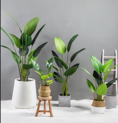 China Home Decoration Artificial Banana Trees 150cm Tall Use For Home Office Plastic Plants for sale