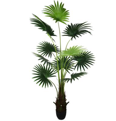 China Home Wholesale Artificial Plant Decoration 180cm Artificial Palm Tree for sale