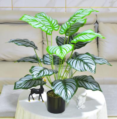 China Plants Fabricfabric Minimalist Wholesale Cheap Artificial Potted Flowers Fake Colorful Plastic Plants for sale