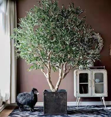 China Large Plastic Trunk Olive Trees Fiberglass Tree Minimalist Outdoor Large Size for sale