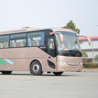 Chine Ankai 10m tourist bus à vendre