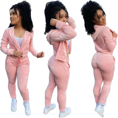 China Anti-Wrinkle Autumn Clothing For Women Set Two Piece Pants Set Long Sleeve Zipper Hoodie Sweat Suits Women for sale