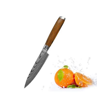 China 5 Inch Kitchen Disposable Steak Knife Unserrated Razor Straight Sharp Blade Edge Premium Steel Steak Knife for sale