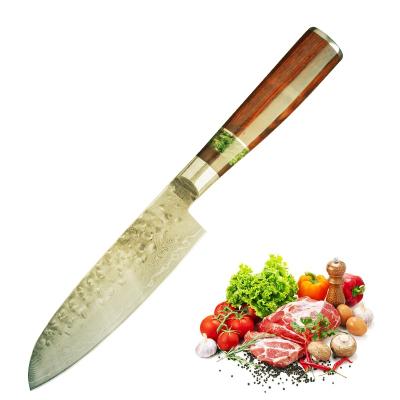 China New Design Disposable 4 Inch High End Kitchen Knife Paring Knife Damascus Steel Paring Knife With Cocobolo Wood Handle for sale