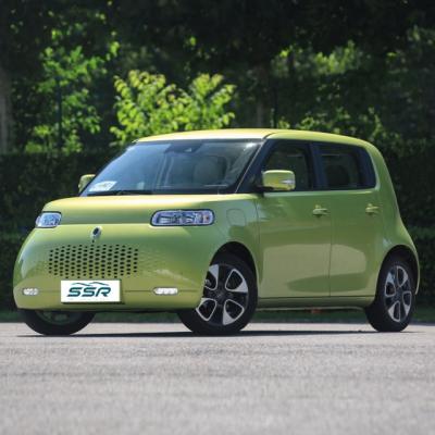 China Hot Sale Electric Car Small Mini New Euler Cat 2022 White 305KM Range Energy Cruise Vehices For Ladies 80 ev Cute Car for sale