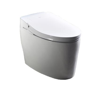 China FABIAO Automatic Operation Modern Sanitary Ware Ceramic One Piece Toilet Floor Standing WC Toilet Bowls for sale