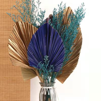 China Minimalist Preserved Fan Palm Leaves Decorative Dry Palm Leaves for sale