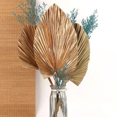 China Home decoration and natural dry flowers of gifts and crafts palm leaves series for home decoration for sale