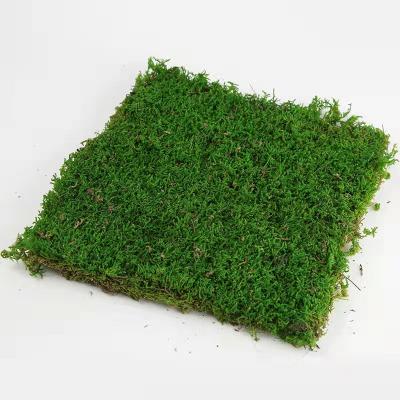 China Different Kinds of Home Decoration Wholesale Artificial Indoor Green Wall Panels Moss Dried Flowers Grass Home Art Decoration Wall for sale