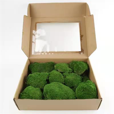 China Home Decoration Amazon 2021-2022 Moss For Party Wall Decoration Preserved Decorative Hot Sale for sale