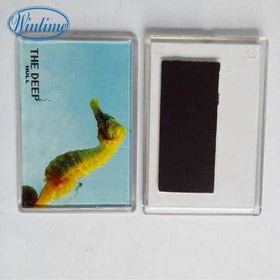 China Hot Sale Plastic Magnet Acrylic Frame With Printing Insert for sale