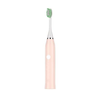 China USB Wholesale Price Sonic Rechargeable Electric Toothbrush ABS Material Travel Electric Toothbrush for sale